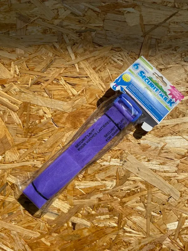 [SOC41465105] Bracelet Securit'lait bleu fluo -Lot de 6