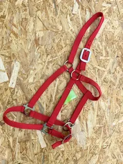 [EPE12613] Licol de présentation bovins couleur rouge