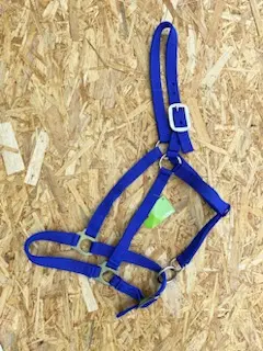 [EPE12614] Licol de présentation bovins couleur bleue
